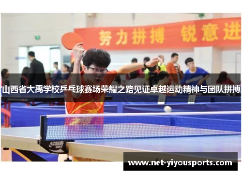 山西省大禹学校乒乓球赛场荣耀之路见证卓越运动精神与团队拼搏