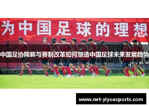 中国足协降薪与赛制改革如何塑造中国足球未来发展趋势